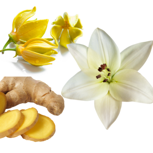 Highly Scented Clamshell Soy Wax Melts | Rosebuds Aroma